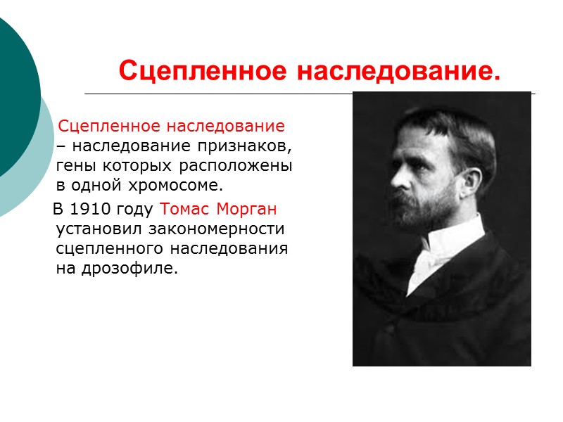 Сцепленное наследование.      Сцепленное наследование – наследование признаков, гены которых